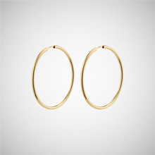 Load image into Gallery viewer, April Recycled Medium-Size Hoop Earrings (8246775120080)
