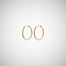 Load image into Gallery viewer, April Recycled Small Hoop Earrings (8246775054544)
