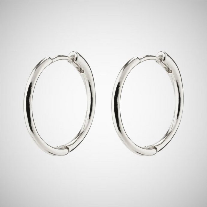 Eanna Recycled Medium Hoops (8246775218384)