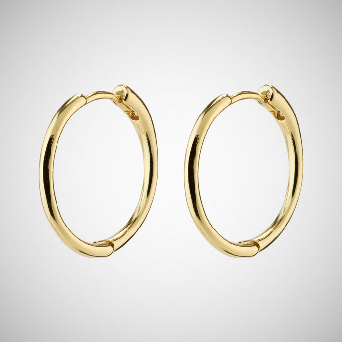 Eanna Recycled Medium Hoops (8246775251152)