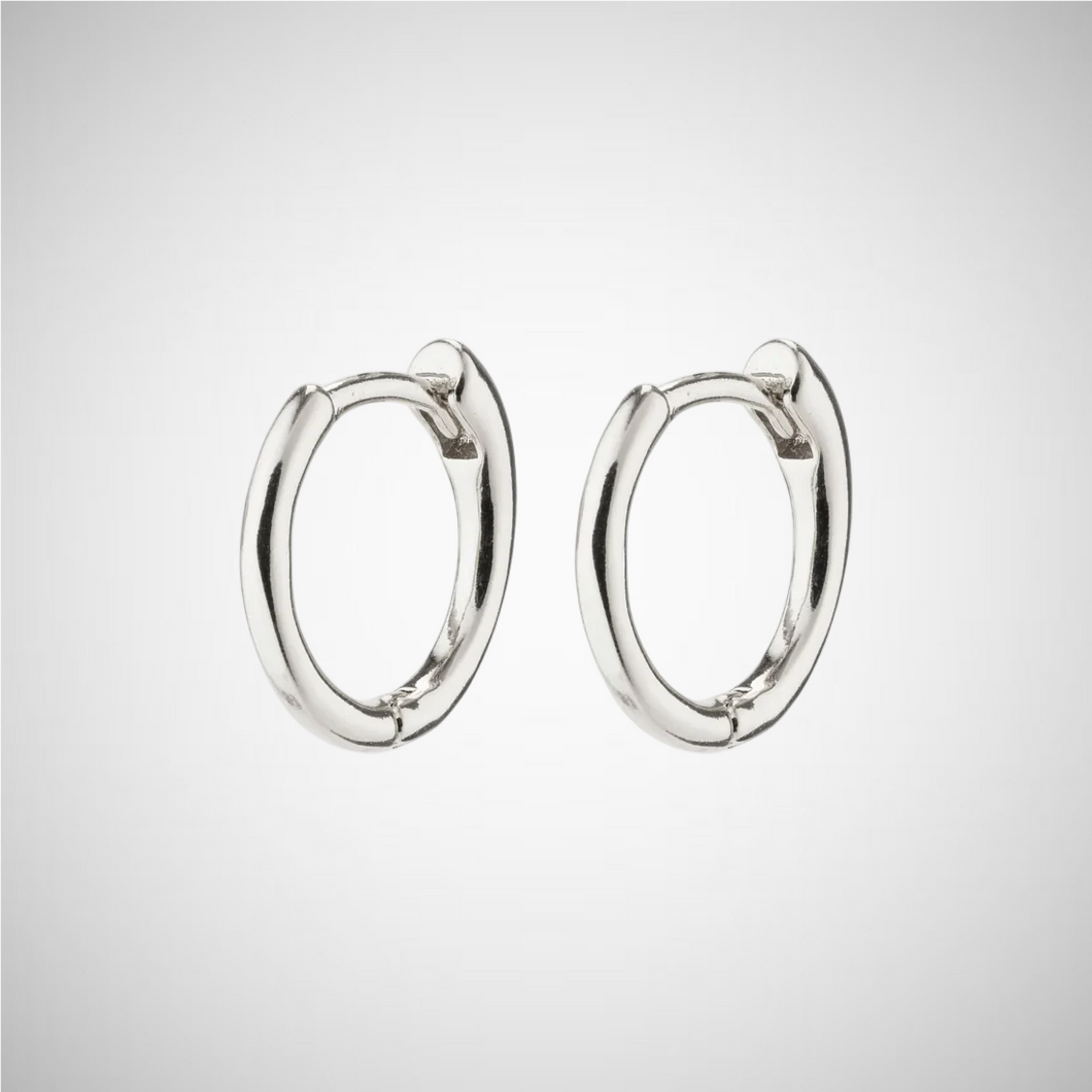 Eanna Recycled Small Hoops (8246775152848)